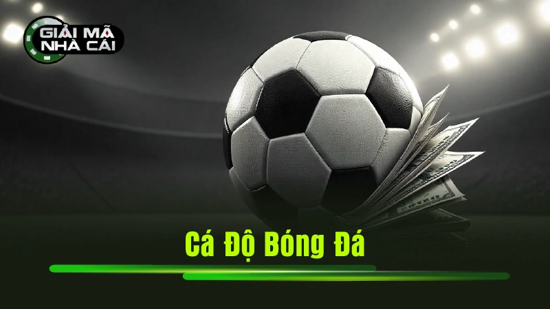 Cá Độ Bóng Đá