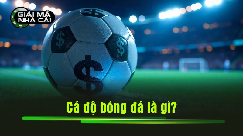 Cá độ bóng đá là gì?
