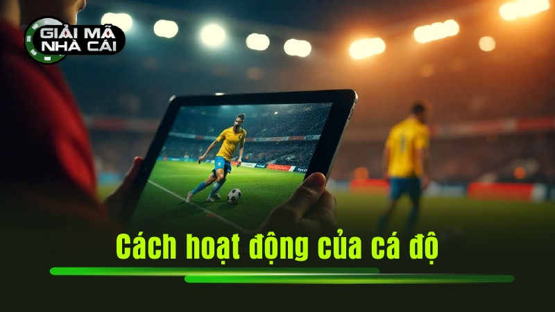 Cách hoạt động của cá độ